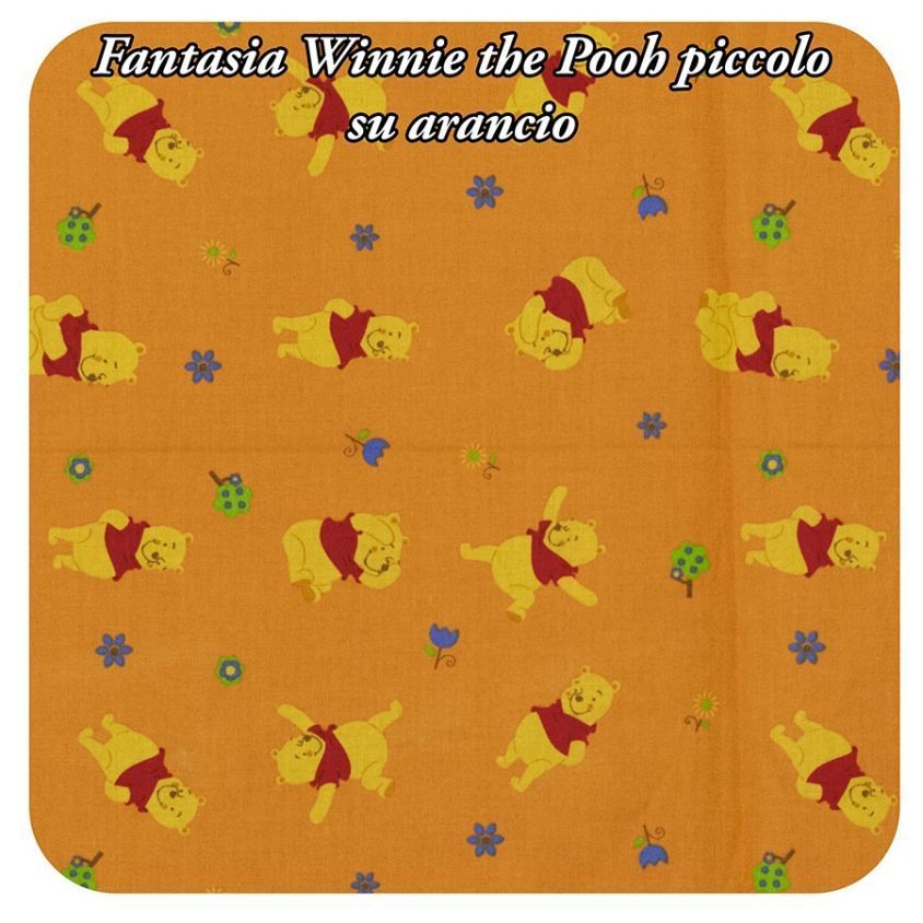 Fantasia Winnie the pooh piccolo su arancio